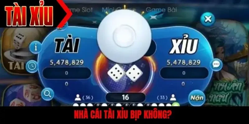 Nhà cái tài xỉu bịp không