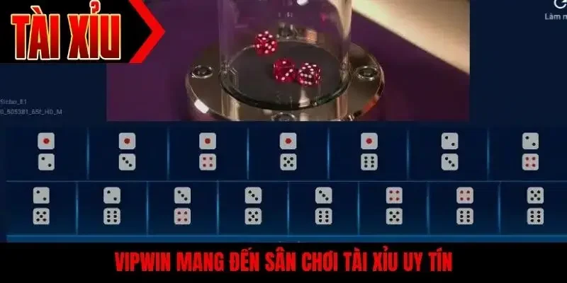 Vipwin mang đến sân chơi tài xỉu uy tín